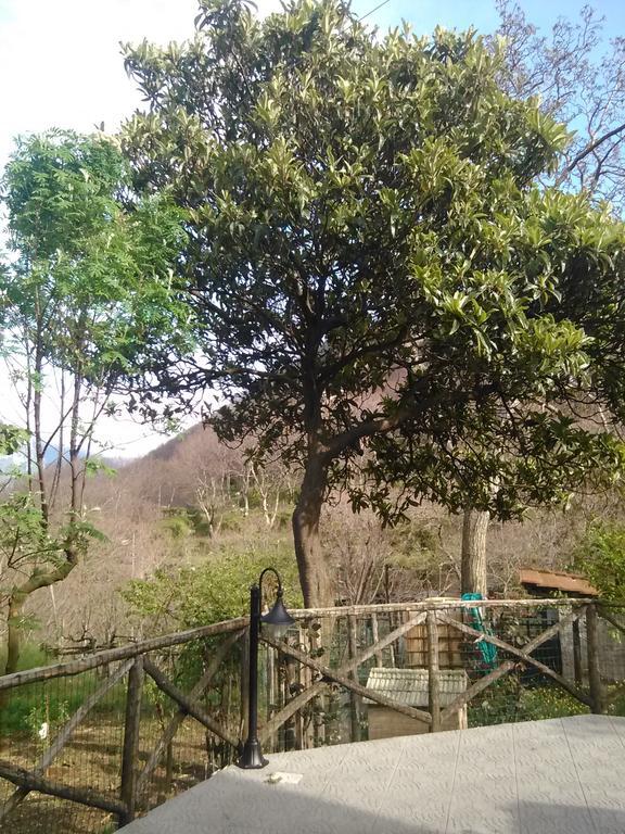 Casa Giordano Villa Tramonti Luaran gambar