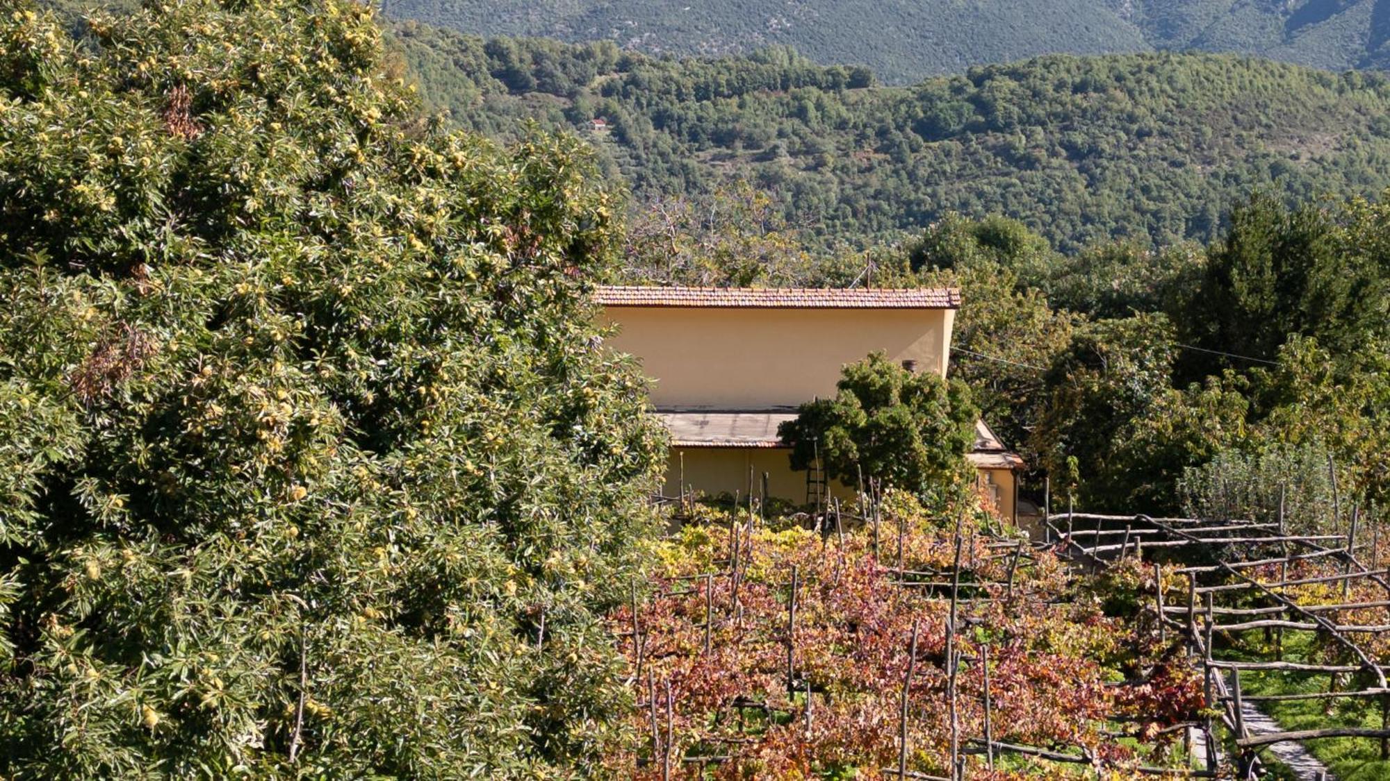 Casa Giordano Villa Tramonti Luaran gambar