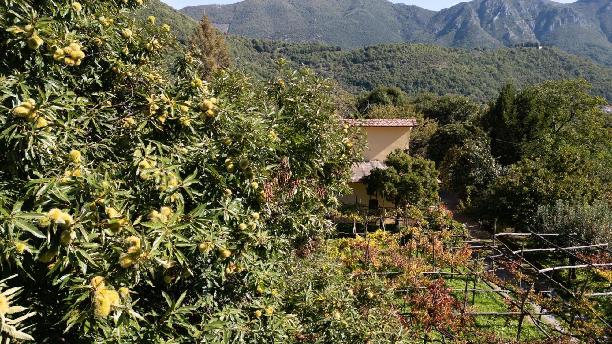 Casa Giordano Villa Tramonti Luaran gambar